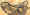 81_Malibu_TLWiringHarness.jpg (114317 bytes)